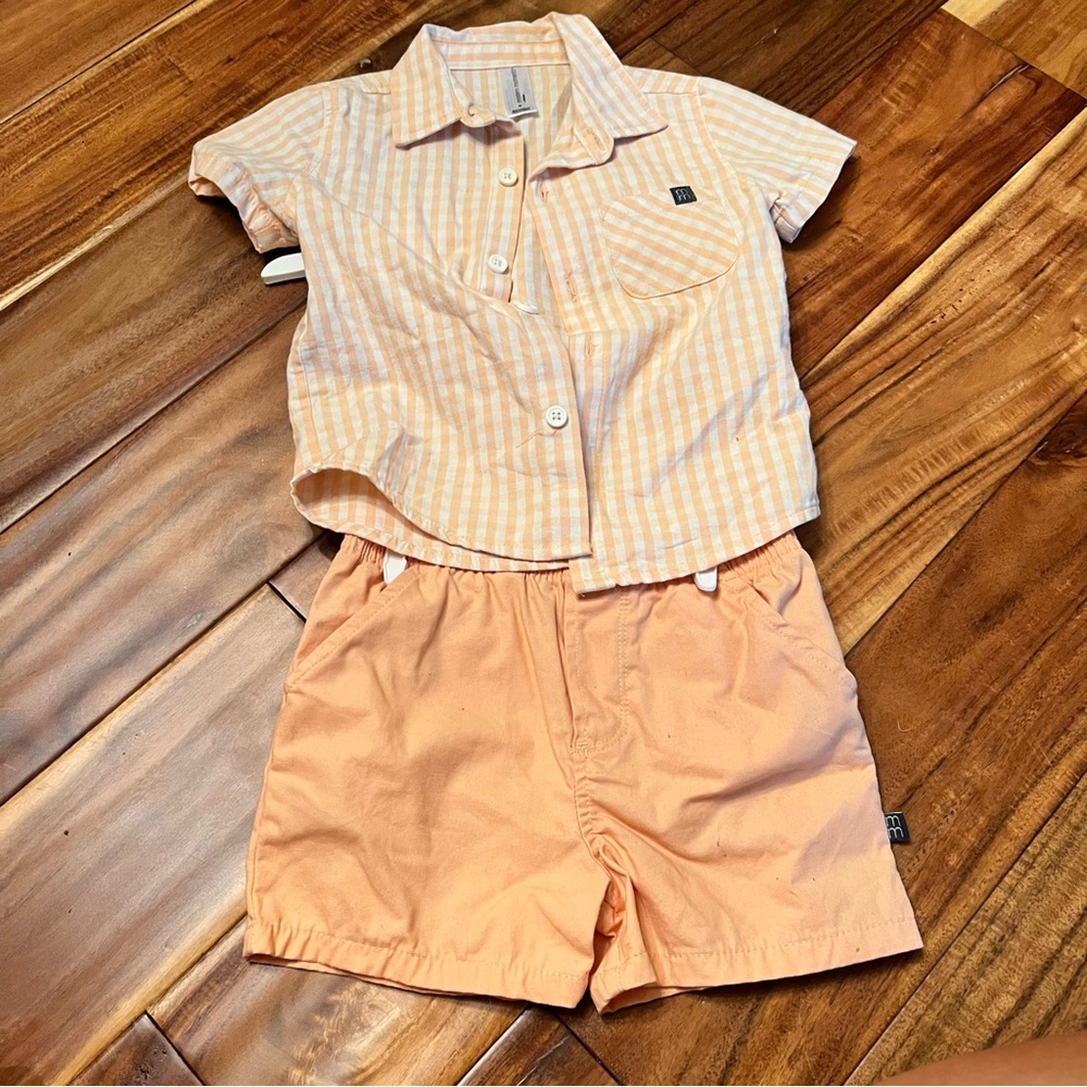 Toddler boy modern moments orange gingham shorts set. Size 2t